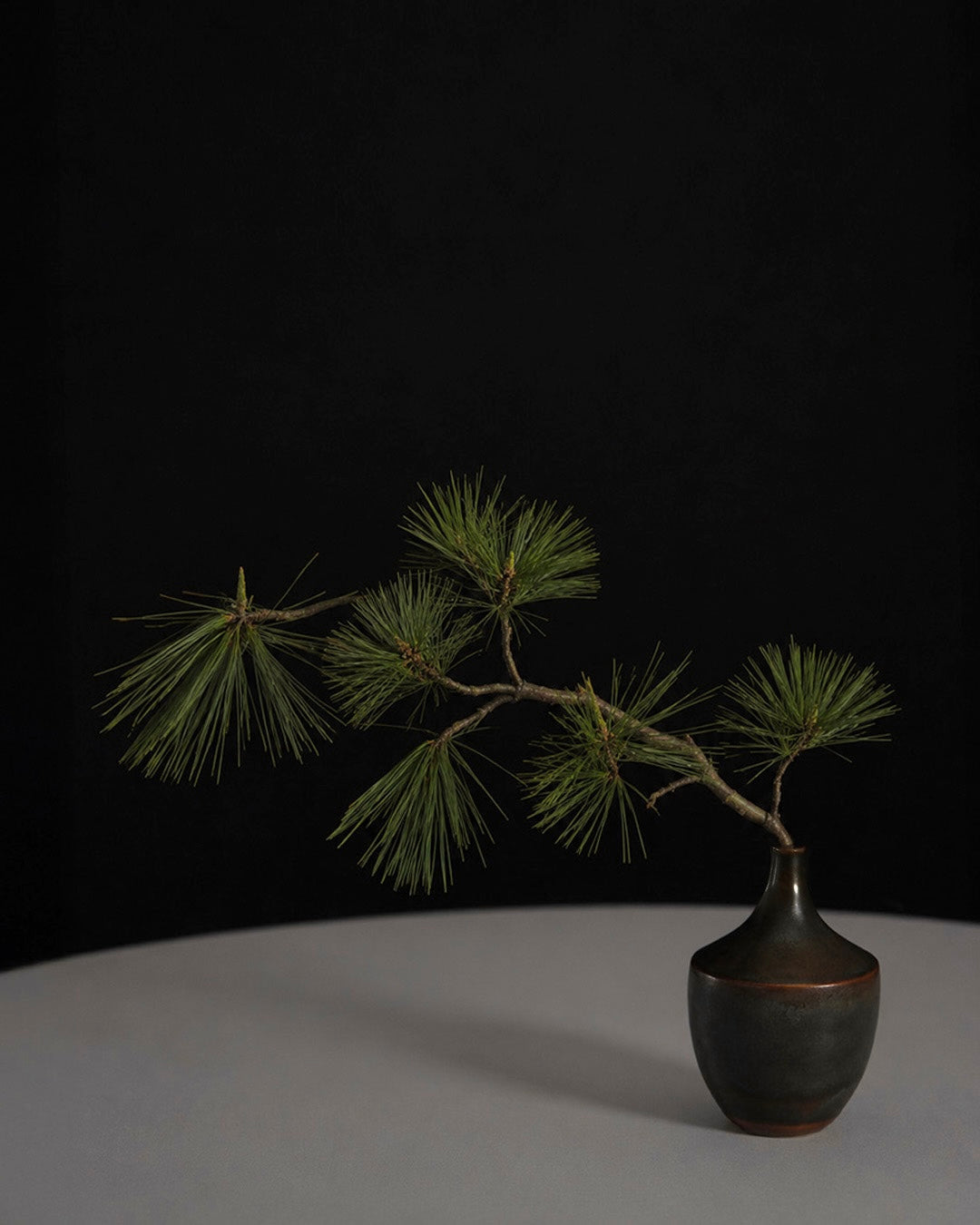 AJ Höganäs Stoneware Collection